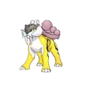 Raikou - Pokemon Omega Ruby & Alpha Sapphire