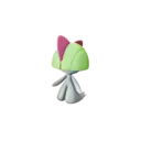 Ralts