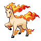 Rapidash