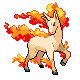 Rapidash