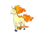 Rapidash
