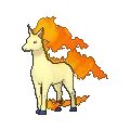 Rapidash