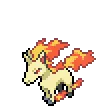 Rapidash