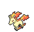 Rapidash