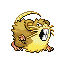 Raticate
