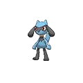 Riolu