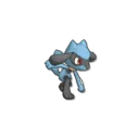 Riolu