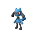 Riolu