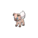 Rockruff