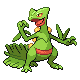 Sceptile