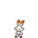 Scorbunny