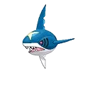 Sharpedo