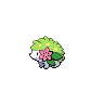 Shaymin - Pokemon Black 2 & White 2