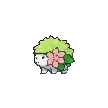 Shaymin - Pokemon X & Y