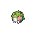 Shaymin - Pokemon Brilliant Diamond & Shining Pearl