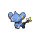 Shinx