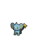 Shinx