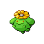 Skiploom