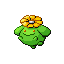Skiploom