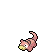 Slowpoke