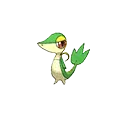 Snivy