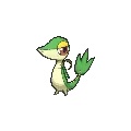 Snivy