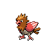 Spearow