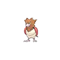 Spearow