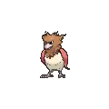 Spearow