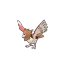 Spearow