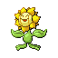 Sunflora