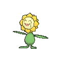 Sunflora