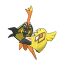 Tapu Koko