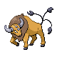 Tauros - Pokemon HeartGold & SoulSilver