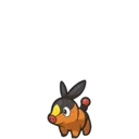 Tepig