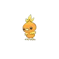 Torchic