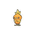 Torchic