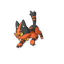 Torracat