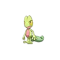 Treecko