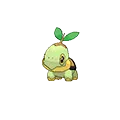 Turtwig