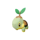 Turtwig