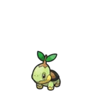 Turtwig