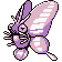 Venomoth