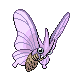 Venomoth