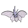 Venomoth