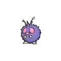 Venonat