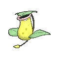 Victreebel