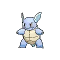 Wartortle
