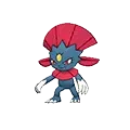 Weavile
