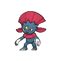 Weavile